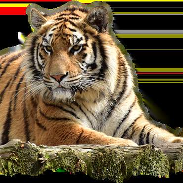 2금융권 소액신용대출 조건, 꼼꼼하게 따져보고 현명하게 이용하세요!