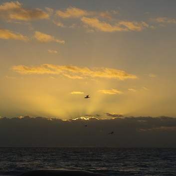 HRD 출결관리: 효율적인 시스템 구축과 관리 전략