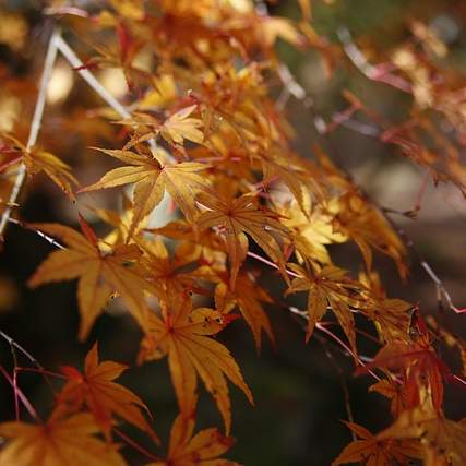 IP 주소 변경: 명령어부터 실제 적용까지 완벽 가이드