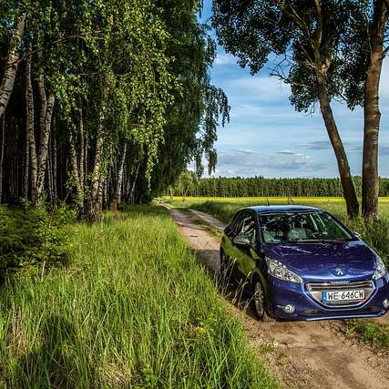 PE봉 8파이: 다양한 활용과 선택 가이드