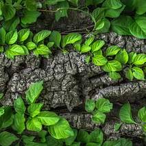 eowjs 향우회: 잊지 못할 추억과 끈끈한 정을 잇는 공동체