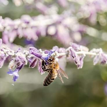 검정고시, 이제 두려워하지 마세요! 요점정리 완벽 가이드