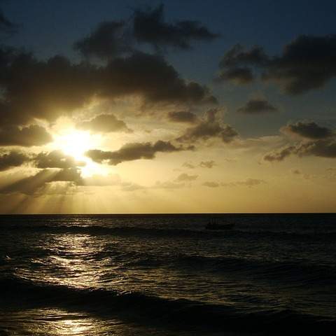 경기도 광주에서 빛과 아름다움을 디자인하다: 리코 블라인드의 매력