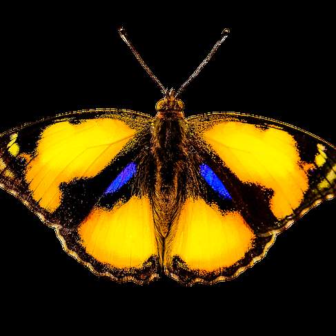 경주에서 만나는 특별한 휴식: 센슈얼 마사지의 모든 것