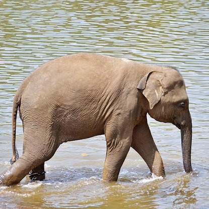 고아원 아기 돌보미: 작은 손길, 큰 사랑의 시작