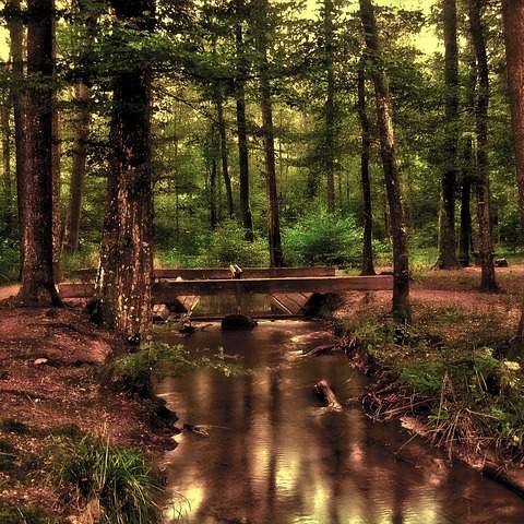 구월동 신세계백화점: 인천 최고의 쇼핑 & 문화 공간 완벽 가이드