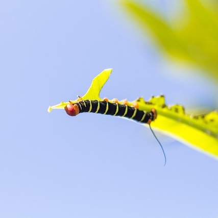 그랜져 TG와 JB랩: 시대를 초월한 만남, 그리고 최고의 성능 향상