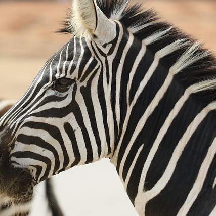 기독교식 초상예절: 슬픔을 나누고, 믿음으로 위로받는 아름다운 이별