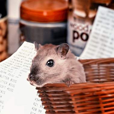 내 차, 아반테 본넷 덴트… 어떻게 해결할까요? 구입부터 수리까지 완벽 가이드