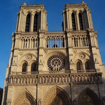 데임베이스 기타: 매혹적인 음색과 섬세한 감성의 세계