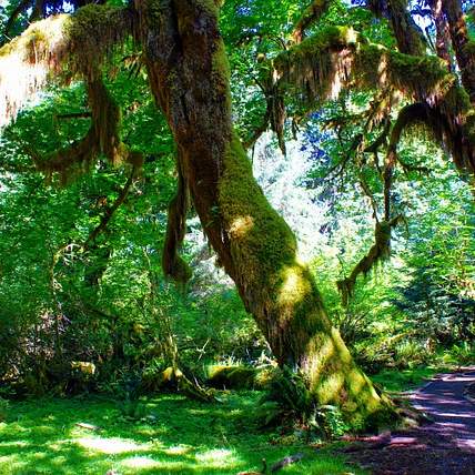 롤링스 HOH PRO205: 야구 글러브의 새로운 기준을 제시하다