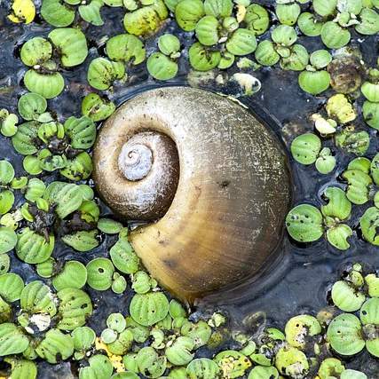 마이클 잭슨의 글씨체, 그 매력과 비밀: “당ㄴ”의 의미를 탐구하며