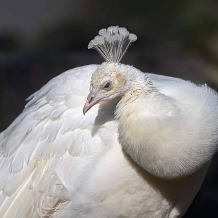무균실: 숨 막히는 청정의 세계, 그리고 그 너머