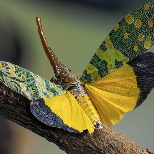 사랑스러운 품 안에 쏙! 소형 강아지 종류 총정리