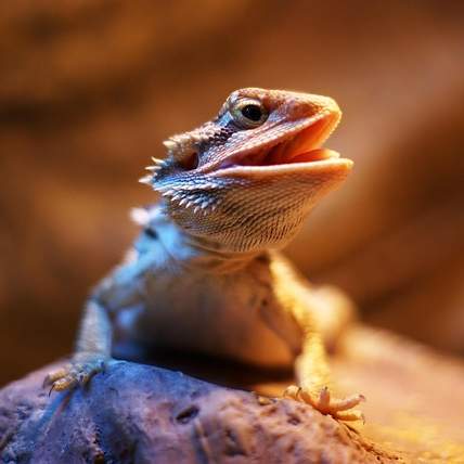 산업 현장의 든든한 조력자: 산업용 용롤러의 모든 것