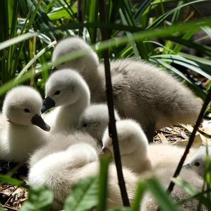 소형 캠핑 트레일러 면허, 알고 나면 쉬워요!