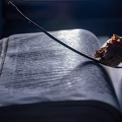 슬레이트 한 장의 무게: 생각보다 복잡한 이야기