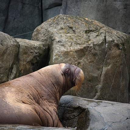 알루미늄 쉬트 두께: 선택 가이드와 활용법 완벽 정리