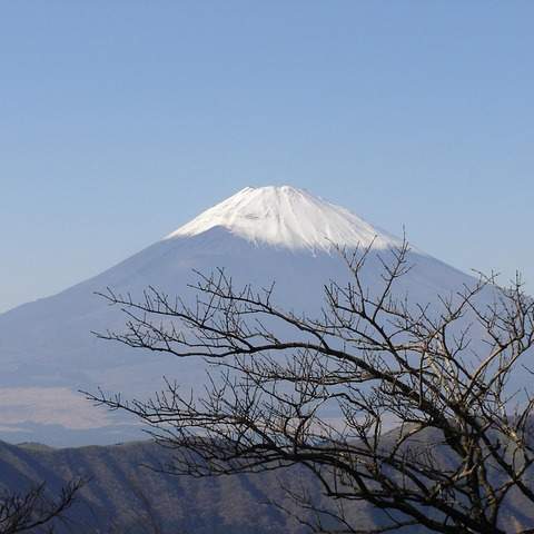 야마하 리코더, 최고의 선택을 위한 안내: 판매처부터 관리법까지