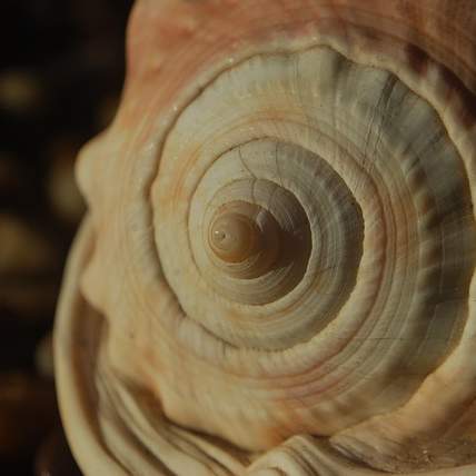 언양시외버스터미널 완벽 가이드: 시간표, 주변 정보, 그리고 알짜배기 팁까지!