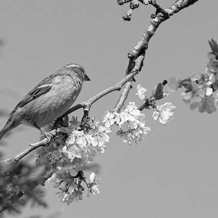 자동차 에어컨 틀면 삐 소리? 원인과 해결 방법 완벽 가이드