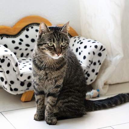 준표산악회: 자연과 함께하는 특별한 경험