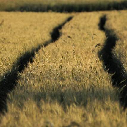 토지당한의원: 당신의 건강을 위한 최고의 선택