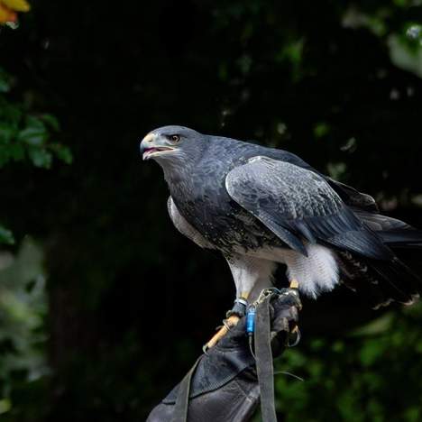 홈디포에서 찾는 완벽한 장갑: 당신의 작업에 맞는 최고의 선택